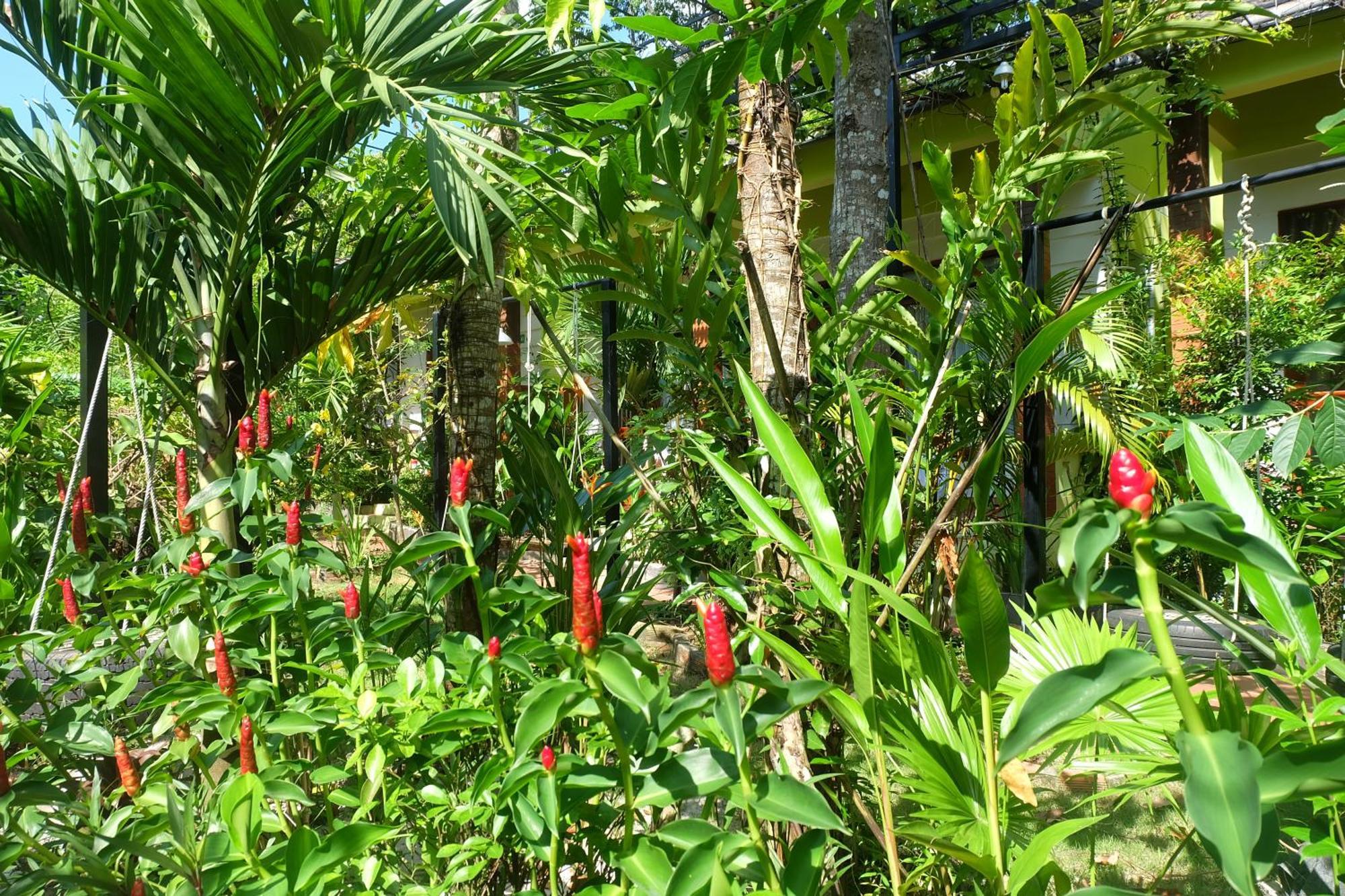 Mai Binh Phuong Bungalow Phú Quốc Eksteriør billede